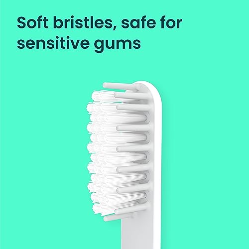 quip Sonic Toothbrush Replacement Heads for Adults - 3 Pack - Verified quip Standard Brush Head Refills for Electric Toothbrushes - Soft Bristles, Compact & Flexible - Last 3 Months Each 3 Count (Pack of 1)