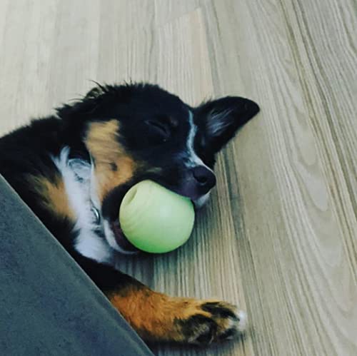 Chew King Glowing Fetch Ball, Dog Ball Toys, 2.5" 2-Pack Balls 2.5" Balls/ pack of 2 - BeesActive Australia