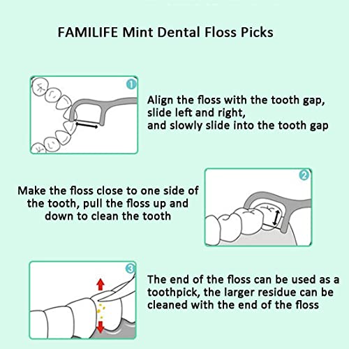 FAMILIFE Mint Dental Floss Picks for Teeth, 420 Count with Travel Cases Mint 420 Count