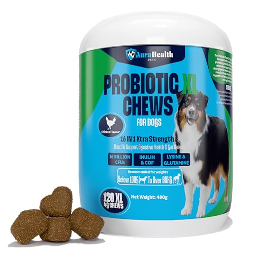 Dual-Action Strength & Gut Health Bundle for Medium to Large Dogs (120 XL Chews x2)