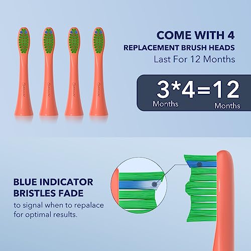 ARISSON Sonic Electric Toothbrush for Adults and Kids, 40,000 VPM Power Toothbrush, 1.5H Fast Charge Ultrasonic Electric Toothbrushes with 2 Minutes Smart Timer, 1.6 Oz Travel Toothbrush, Peach Orange 1 Count (Pack of 1)