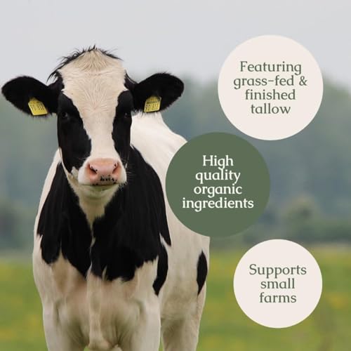 Hearth & Homestead Handmade Beef Tallow Lip Balm - 100% Grass Fed, Beeswax & Organic Cocoa Butter - Natural Chapped Lip Repair - Unscented - .33oz Unscented (Herb-Infused)