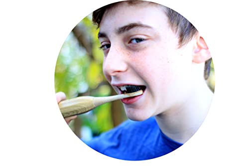 Bamboo Sonic Toothbrush Replacement Heads