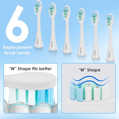 38000 VPM Sonic Electric Toothbrush Set with 6 Brush Heads-2 Minute Timer-4 Cleaning Settings，IPX7 Waterproof,Lightweight and USB Rechargeable Toothbrush for Oral Care (White) White
