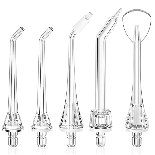 Water Dental Flosser Teeth Pick 10 Levels Smooth Control & Water Dental Flosser Tip Replacement Heads