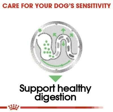 Royal Canin Digestive Care Adult Wet Dog Food 85g (Pack of 24)