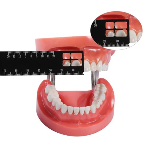 Professional Dental Precision Measuring Ruler, Black Stainless Steel Endodontic Scale Tool Instrument, Small Handheld Metric Scaling Measurements for Accurate Dental Assessment Care