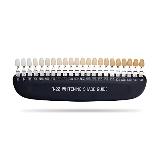 Professional 3D R-22 Dental Tooth Teeth Whitening Shade Guide for Dentist Tracking Teeth Whitening Course, Tooth Shade Guide with 22 Colors