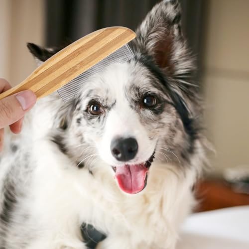 Bkemkri flea comb for dogs and cats, professional dog combs, pet comb for removing fleas, wooden handle dandruff comb, extra fine tooth comb with metal pick, multifunctional flea comb, lice comb, care comb - BeesActive Australia