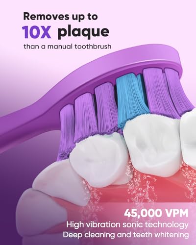 MySmile DY156 Electric Toothbrush for Adults with 3 Brush Heads and Replacement Heads, 3 Packs (Purple)