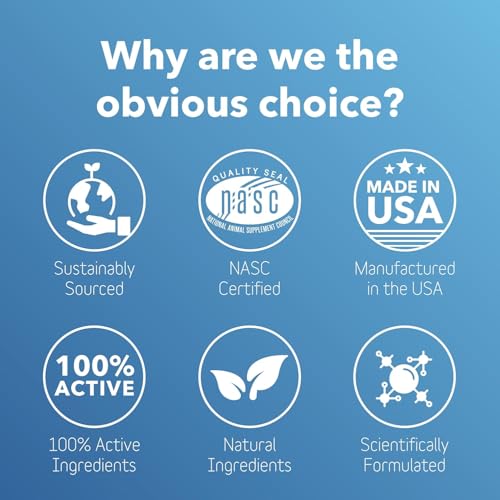 InClover Dental Powder for Dogs & Cats, Natural Teeth Cleaning