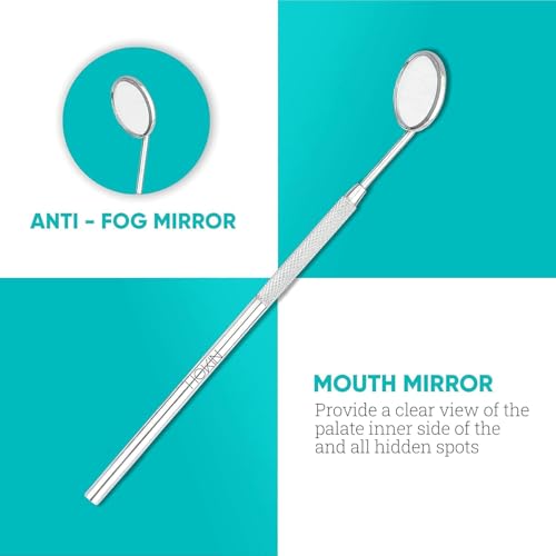 Dental Tools HOKIN Plaque Remover Teeth Cleaning Tool 4 Pcs Dental Care Kit Tooth Filling Repair Set Stainless Steel Dental Tools for Men Women Kids and Pet Care Jet Black