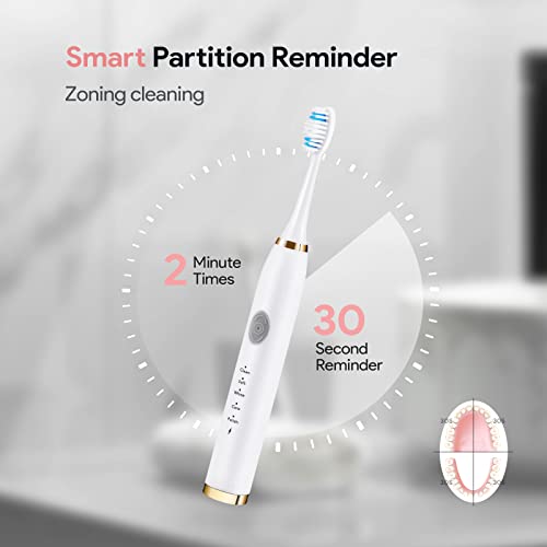 Dnil 2-Pack Rechargeable Sonic Toothbrush for Adults, Long-Lasting Battery Operated, 35,000 VPM Fast Brushing, Includes 10 Brush Heads and 5 Mode Options for Personalized Oral Care (White & Pink)