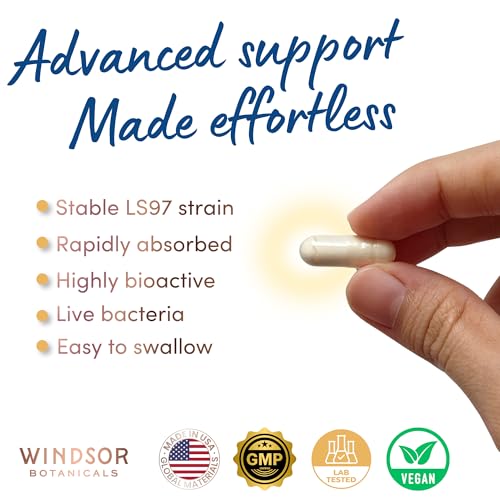 WINDSOR BOTANICALS Lactobacillus Salivarius Probiotic Capsules - L Salivarius Probiotic Oral Dental Probiotics for Bad Breath, Teeth and Gums Health and Immune Support - 24bn CFU, 2-Pack 120 Caps 60 Count (Pack of 2)