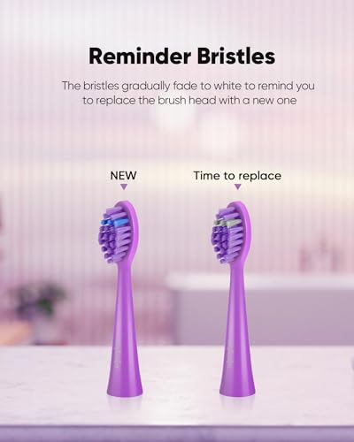 MySmile DY156 Electric Toothbrush for Adults with 3 Brush Heads and Replacement Heads, 3 Packs (Purple)