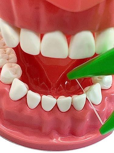 Dental Floss Holder