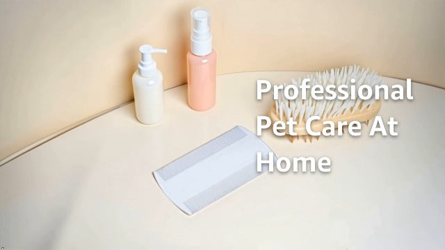 White Double Sided Nit Fine Tooth Head Lice Hair Combs For Kids Pet dog Flea Plastic Hair Remove Lice Brush Combs W8E1 Comb，Grooming，Dog