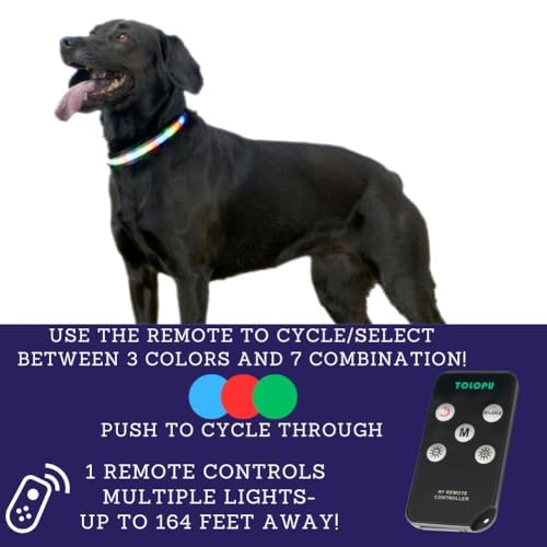Light Up Dog Collar,Led Dog Collar,Rechargeable Waterproof Led Dog Collar with Remote,Led Dog Collar Breakaway,Glow in Dark Led Dog Collar,Dog Lights for Night Walking（Small） - BeesActive Australia
