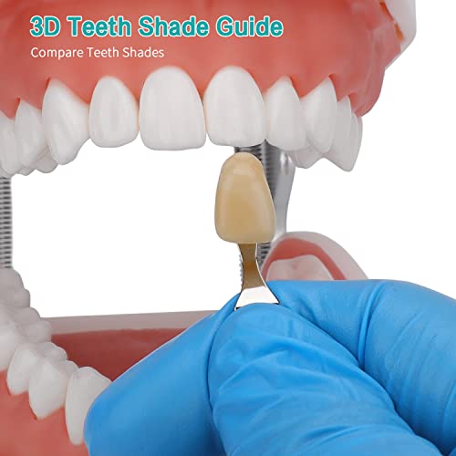 Dental Shade Guide Professional 3D R-20 Tooth Whitening Shade Chart with 20 Colors Teeth Shade Guide with Mirror