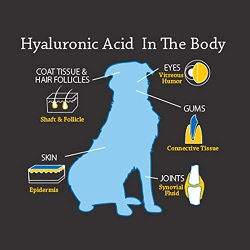 Dog Joint Supplement, Hyalogic Hyaluronic Acid Joint Supplement for Dogs, HyaFlex - 30-60 Day Supply, 1oz HA Canine Joint Support, Cartilage Supplement & Dog Coat Supplement, W/ No Fuss Liquid Dropper Standard Packaging - BeesActive Australia