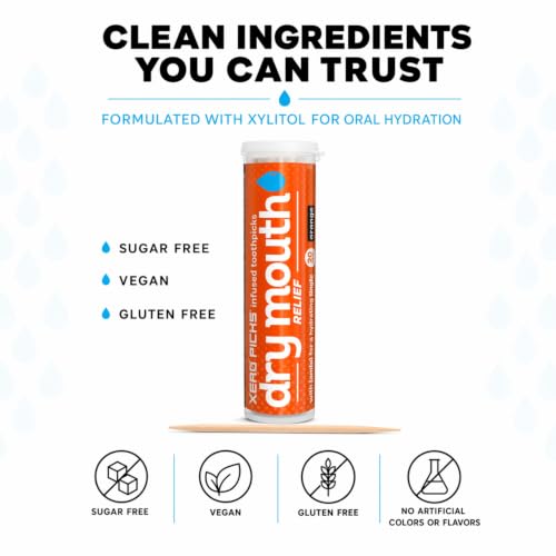 XERO PICKS® Dry Mouth Toothpicks – Xylitol Infused Flavored Toothpicks for Fresh Breath & Saliva Support – Long Lasting Oral Hydration – Variety 6 Pack (Cinnamon Mint, Churro, Caramel Apple & More) 20 Count (Pack of 6)
