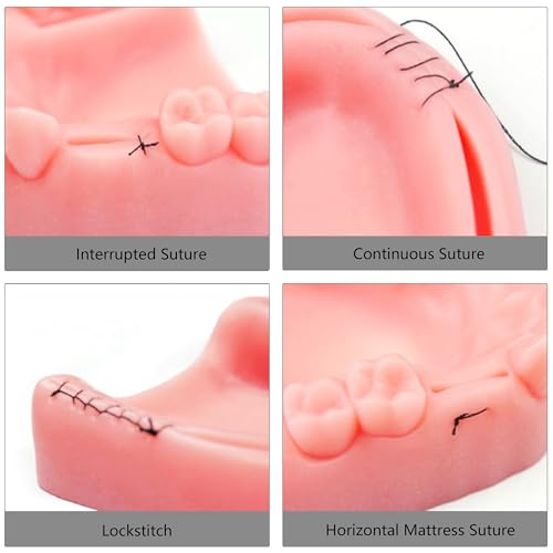 Dental Suture Practice Kit Dental Training Simulation Sets