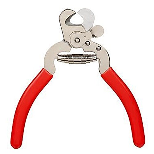 Millers Forge Stainless Steel Dog Nail Clipper, Plier Style One Size - BeesActive Australia