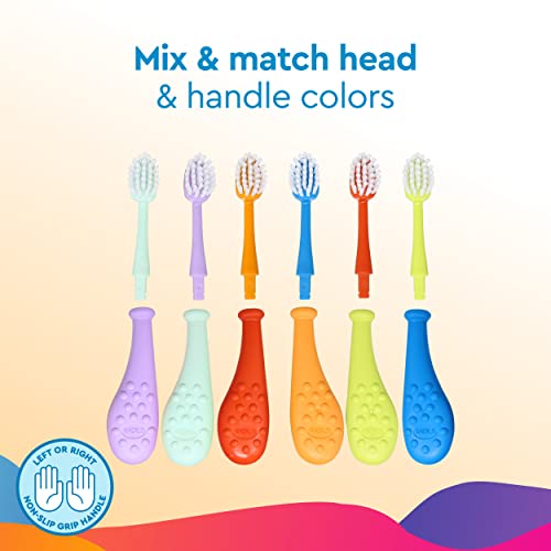 RADIUS Big Kidz Forever Brush Replaceable Head for Children, 6 Years and Up, BPA Free ADA Accepted for Growing Teeth and Gums, 2 Heads - Extra Soft Coral, Blue, Chartruese, Mint, Lavendar, Tangerine 1 Count (Pack of 6)