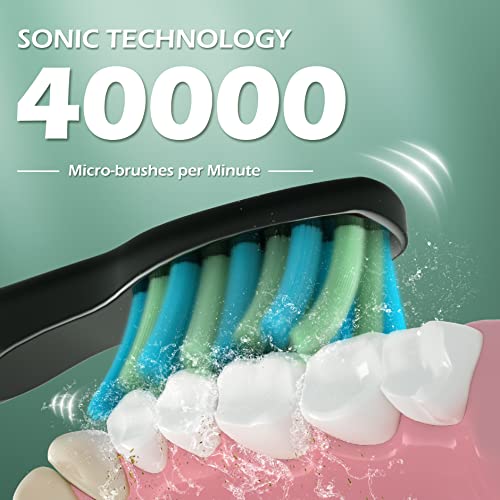 TEETHEORY Electric Toothbrush for Adults with 8 𝐁𝐫𝐮𝐬𝐡 𝐇𝐞𝐚𝐝𝐬 and 6 Replacement Brush Heads