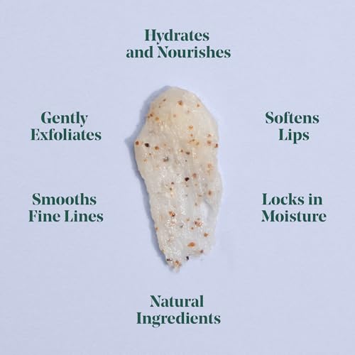 Goodness Sugar Lip Scrub Choc Fudge – Exfoliating Lip Scrub with Hyaluronic Acid & Argan Oil – Lip Exfoliator for Dry Chapped Lips – Natural Sugar Scrub, Vegan – 0.35 oz