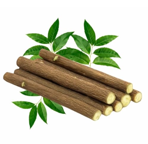 Natural Ayurvedic Half Dried Neem Datun Sticks, Natural Neem Twigs for Manual Tooth Cleaning, Wooden Chew Sticks, Traditional Brushing Alternative, 6-7 Inch, Pack of 10 + 1 Free