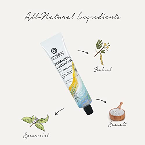 Birdsong Botanical Sea Salt and Spearmint Toothpaste 3.5 oz (100 GMS)