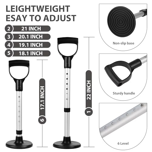 Standing Assist Device, Mobility Aid for Getting Up from Floor