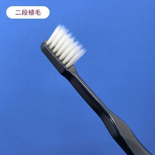 Lion Dental Oral Health Tablet, 90 Tablets (Approx. 30 Day Supply) x 6 Boxes + Glossy White (Glossy) Two-Stage Flocked Toothbrush (Made in Japan) x 1 - BeesActive Australia