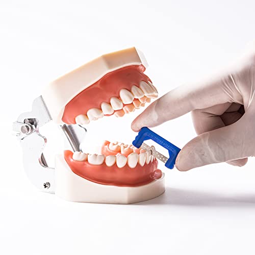 SNAWOP Dental Polishing Strips 2 Packs Orthodontic Interproximal Reduction IPR/IR System Single Hand Use Teeth Enamel Kit (IPR Plus Strip System Kit) IPR Plus Strip System Kit