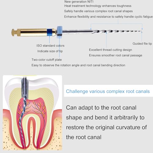 Dental Endo Files NITI Engine File for Endodontic Root Canal Treatment 2004/2504/3004 Pack of 3 Small