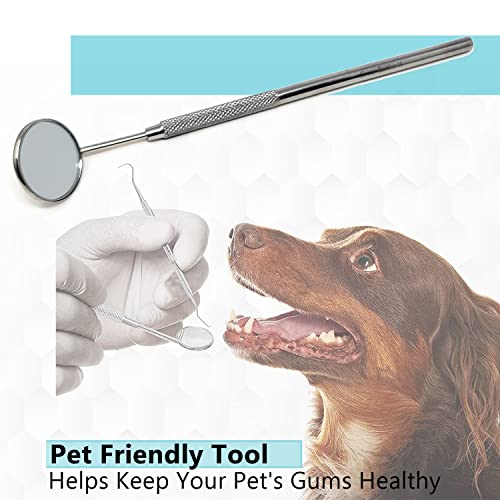Dental Mouth Teeth Inspection Mirror #5 with Stainless Handle, Cone Socket, Total Length 6.5" 6.5 Inch (Pack of 1)