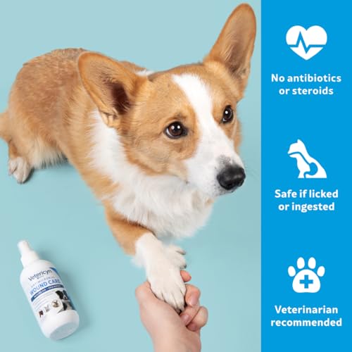 Vetericyn Plus Dog Wound Care Spray | Healing Aid and Skin Repair, Clean Wounds, Relieve Dog Skin Allergies, Safe for All Animals. 8 Ounces 8 oz All Animal