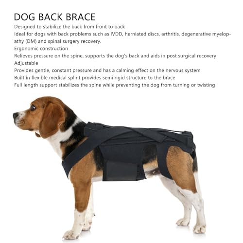 Luqeeg Dog Back Bracer for Spinal Surgery Recovery, Herniated Disc, Arthritis - Adjustable Support with Gentle Pressure, Comfortable &, Ideal for Dogs, (M)