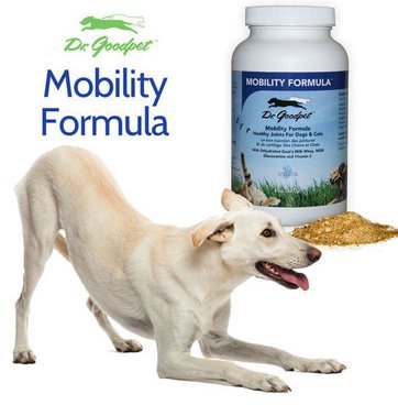 Dr. Goodpet Mobility Formula | All-Natural Hip & Joint Support Powder for Dogs & Cats with MSM, Glucosamine, Vitamin C and Goat’s-Milk Whey | Effective Joint Pain Relief for Active, Aging Pets