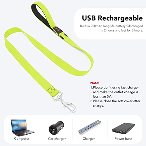 Colaseeme LED Dog Leash Light Up Dog Leash 4 Feet Micro USB Rechargeable Nylon Webbing Glow Safety Standard Dog Leash for Dogs (Green) Green - BeesActive Australia