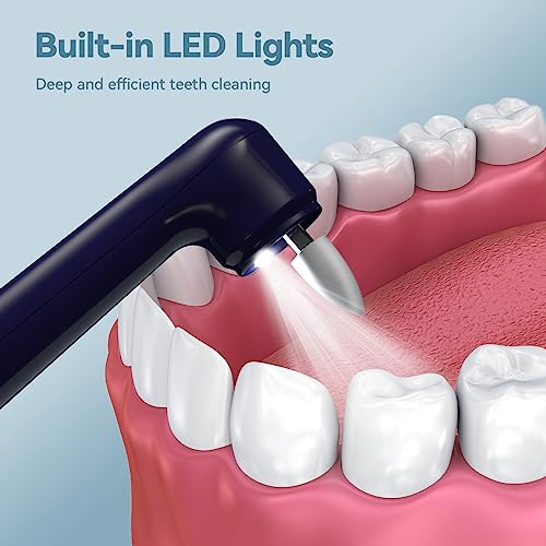 Tooth Polisher Electric Professional with USB Rechargeable, Tooth Polisher 5 Replacement Heads, IPX6 Waterproof for Adults &Kids Blue