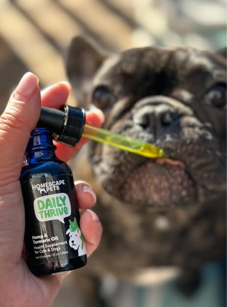 Homescape Pets - Daily Thrive - Hemp & Turmeric Oil for Cats & Dogs - Anti-Inflammatory, Calms Aches & Pain - Enhances Energy, Supports Immune System - with Organic Curcumin