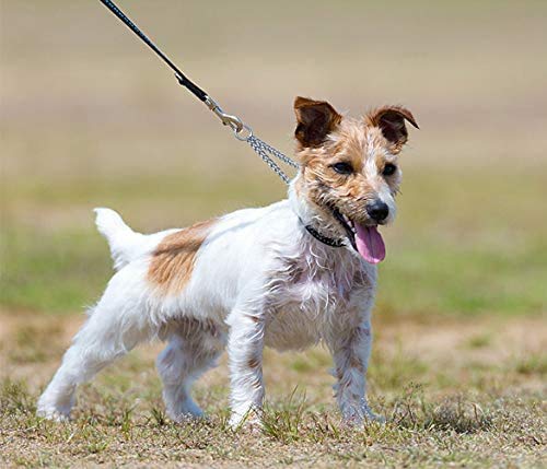 Metal Double Dog Lead, Double Ended Metal Lead for Dogs, Durable Dog Chain for Two Dogs, 2 Way No Tangle Coupler Double Pet Dog Chain Lead Leash for Walking Training (4.0mm*70cm) - BeesActive Australia
