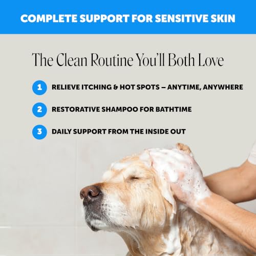 Pet Honesty Hot Spot Spray for Dogs & Cats with Aloe Vera, 4oz