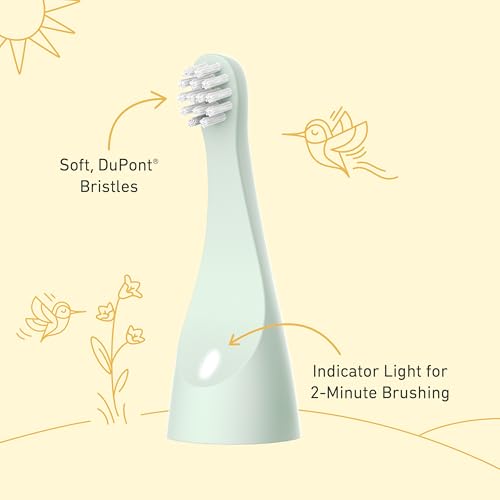 Pure Enrichment PureBaby 4-Pack Replacement Brush Heads for The Infant-to-Toddler Electric Toothbrush
