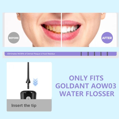 350ML Water Flosser with Travel Bag & 6 Pack Classic Jet Tips Replacement