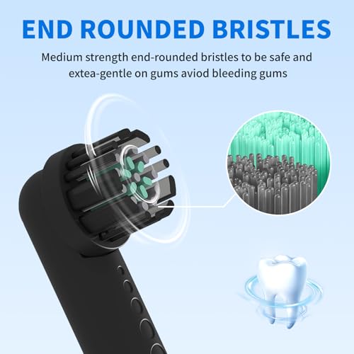Toothbrush Replacement Heads for Quip 360 Oscillating Electric Toothbrush Black