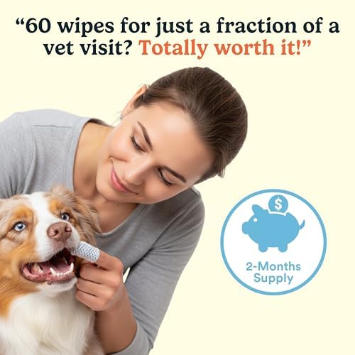 Jasper Dog Dental Wipes, Vet-Recommended Natural Cat & Dog Teeth Cleaning Wipes Dog Teeth Cleaner, Disposable Wipes Fresh Breath PlaqLift Technology Attacks Plaque and Buildup, Coconut, 60 Count