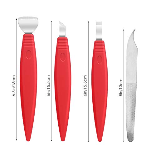 BEZOX Ingrown Toenail Removal Blades and Foot Callus Knife - 3 Different Blades Pedicure Knives with Toenail Lifter and Thick Nail File - Red